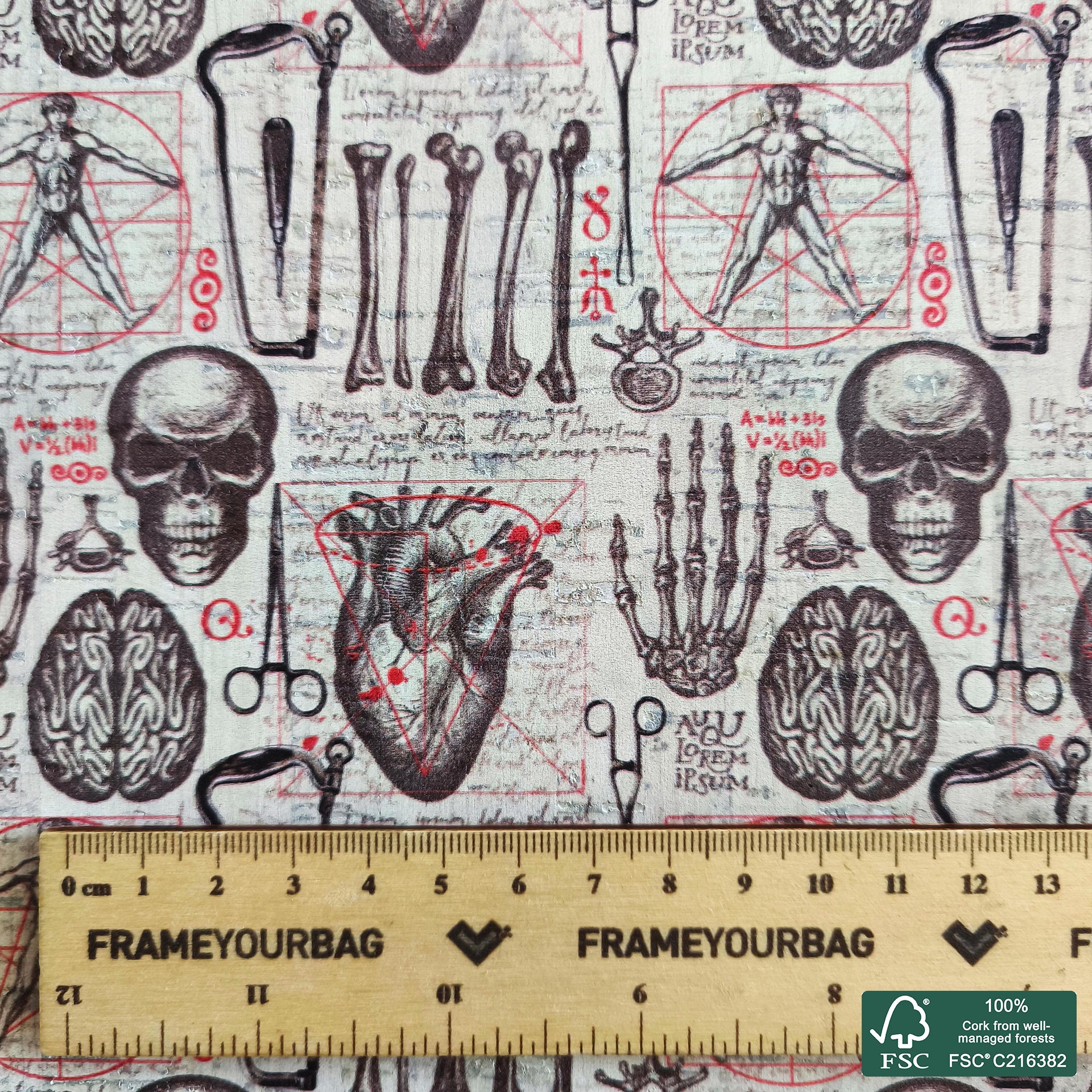 Anatomy printed pattern on white cork fabric (559)